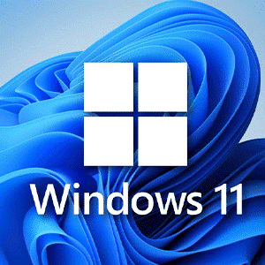 windows 11